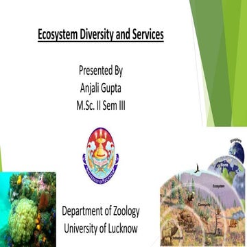 anjali.pptx A ppt on ecosystem diversity and services