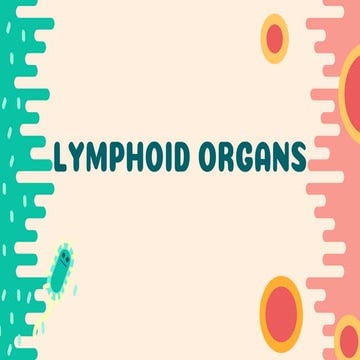 Lymphatic System Mcqs Practice Quiz Functions Organs Nodes Ducts