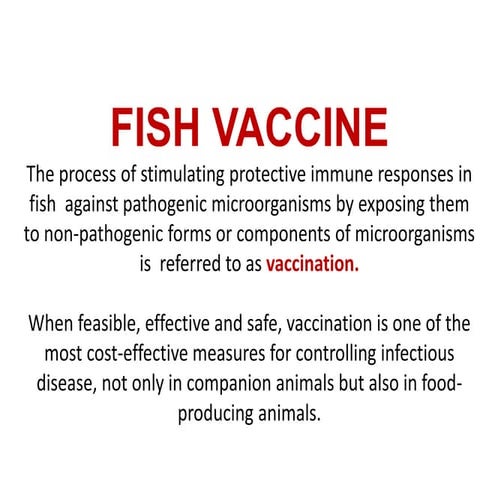 FISH VACCINE | PPT