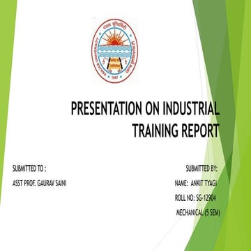 training report 