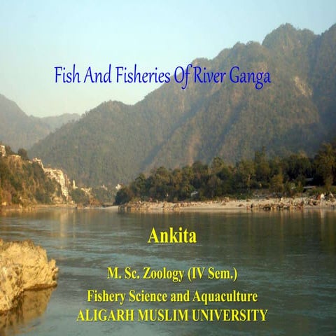 Fish And Fisheries Of River Ganga By ANKITA