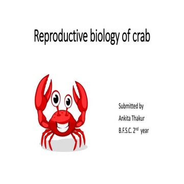ANKITA.THAKUR-REPRODUCTIVE BIOLOGY OF CRAB.pptx
