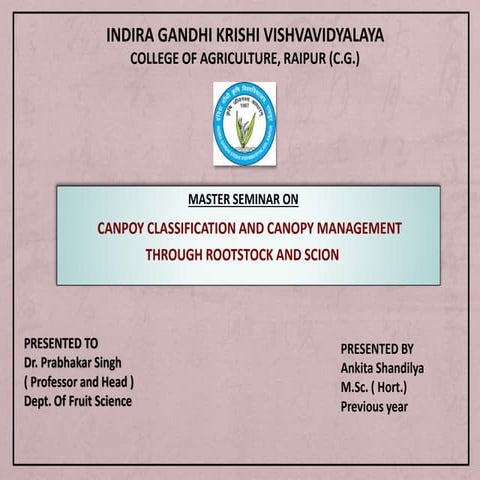 CANPOY CLASSIFICATION AND CANOPY MANAGEMENT THROUGH ROOTSTOCK AND SCION