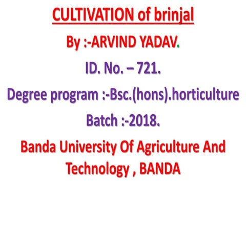 BRINJAL CULTIVATION , PRODUCTION TECHNOLOGY OF BRINJAL 