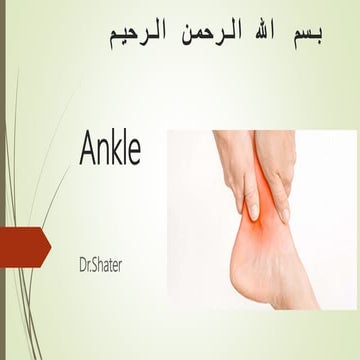 Ankle