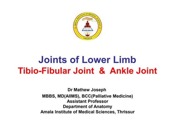 Anatomy and physiology of tibia and fibula tibia | DOC