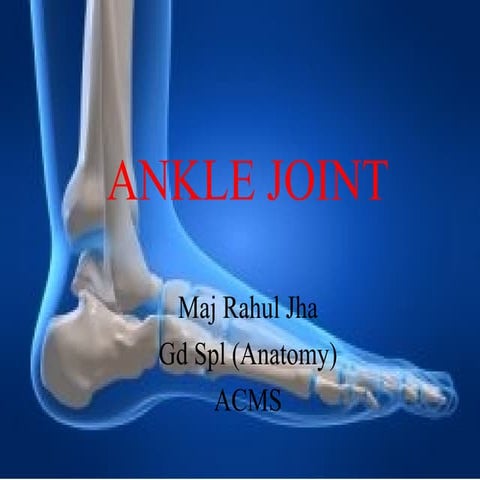 Ankle joint