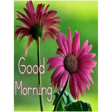 The Gross anatomy of the ANKLE  JOINT.pptx with relations