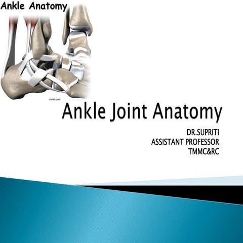 Ankle joint Anatomy