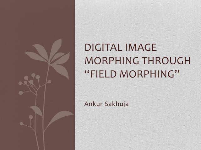 Digital Image Morphing through Field Morphing