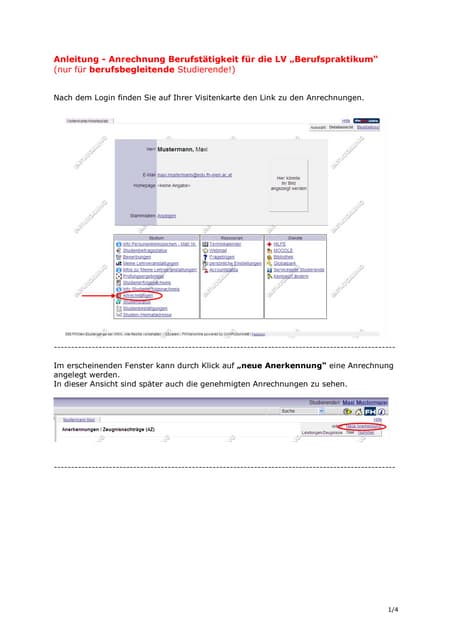 Anleitung Berufspraktikum BB