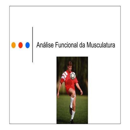Análise funcional da musculatura