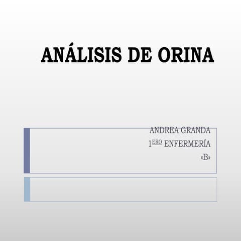 Análisis de orina