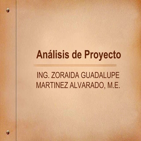 Análisis de proyecto- ZORAIDA