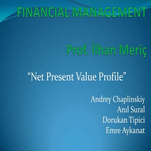 Anıl Sural - Net Present Value Profile