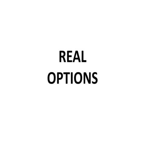 Anıl Sural - Real Options
