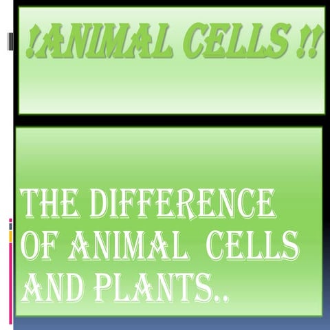 An!mal cel ls~