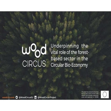 Anne christine ritschkoff: Tervetulosanat ja johdatus WoodCircus-projektiin