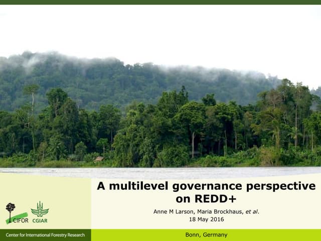 A multilevel governance perspective on REDD+