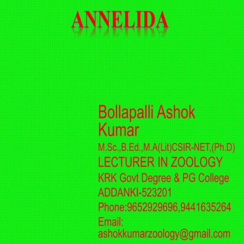 Annelida- General Characters and classification