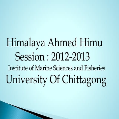 Basic Concept Of Annelida Phylum