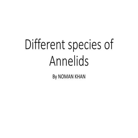 SPECIES OF Annelids