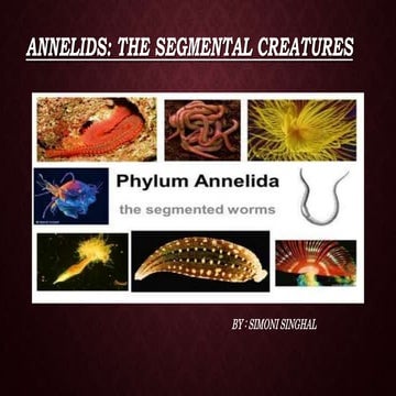 ANNELIDS.pptx by Simoni Singhal  PhD Research Scholar