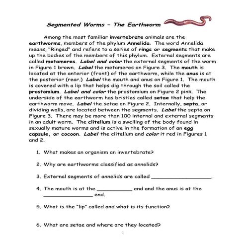 Annelids the earthworm revised