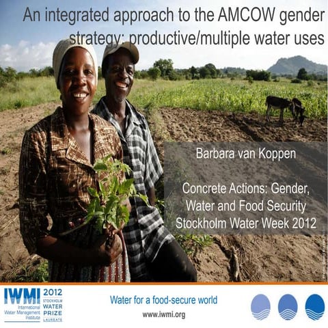 An integrated approach to the AMCOW gender strategy: productive/multiple wate...