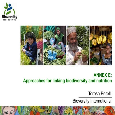 BFN Project - Approaches for linking biodiversity and nutrition