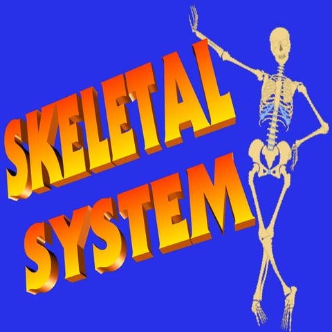 SKELETAL SYSTEM PP for Kids