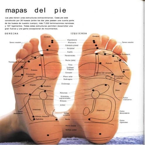 Digitopuntura y Reflexologia