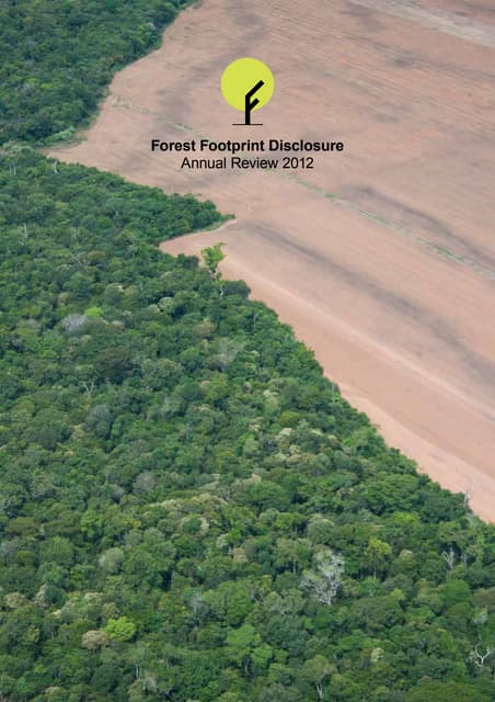 Forrest Footprint Disclosure - Annual review - 2012