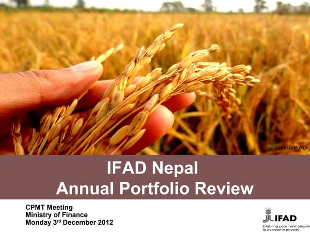 Annual Portfolio Review 2012(1)