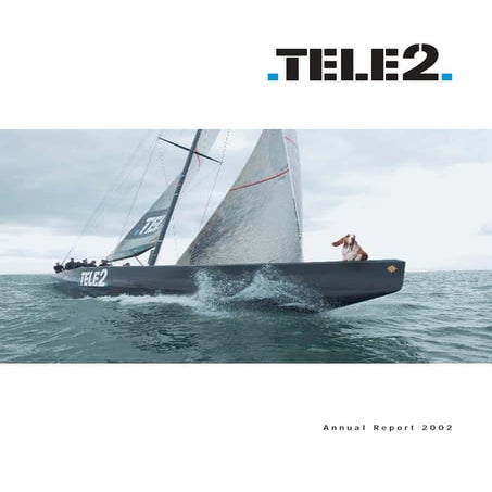 Annual Report 2002