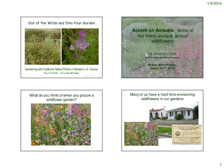 Annual Wildflowers 2018 Final Notes