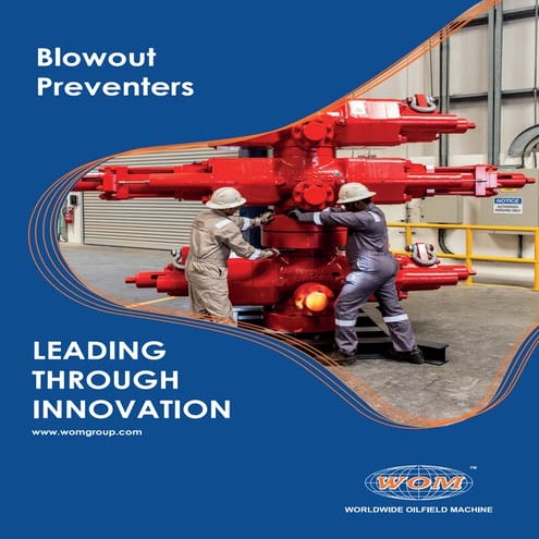 Casing Heads, Casing Heads Oilfield Equipment - WOM Group | PDF