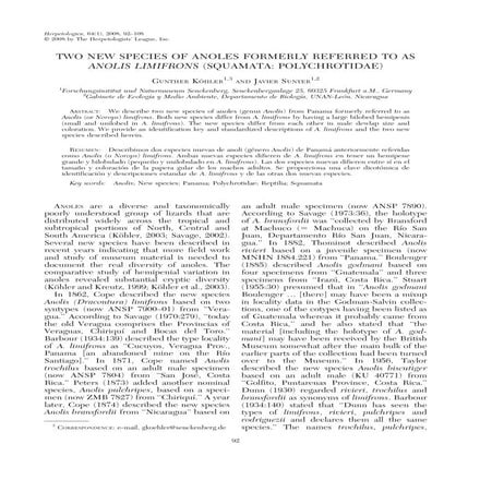Anolis apletophallus und cryptolimifrons köhler&sunyer 2008