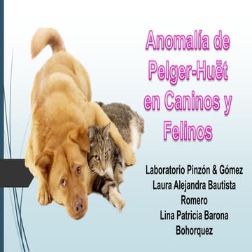 Anomalía de Pelger-Huët en Caninos y Felinos