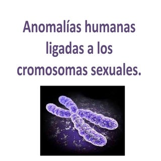 Anomalías humanas ligadas a los cro...