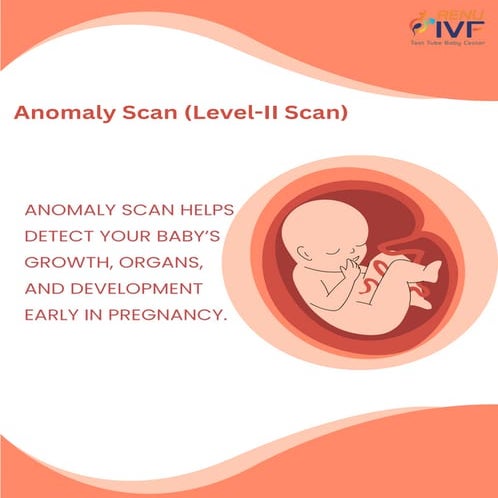 Anomaly Scan in Pregnancy: Why It’s Important | PDF