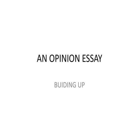 An opinion essay