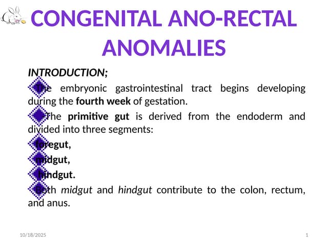 Anorectal anomalis.pptxAnorectal anomalis.pptx