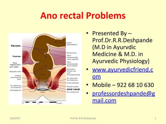 Examination of rectal case | PPT