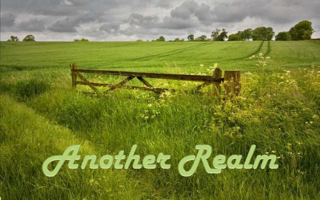 Another realm