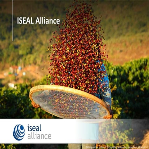 ISEAL in Four Minutes | PPTX