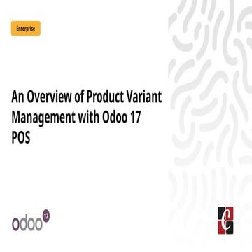 An Overview of Product Variant Management with Odoo 17 POS