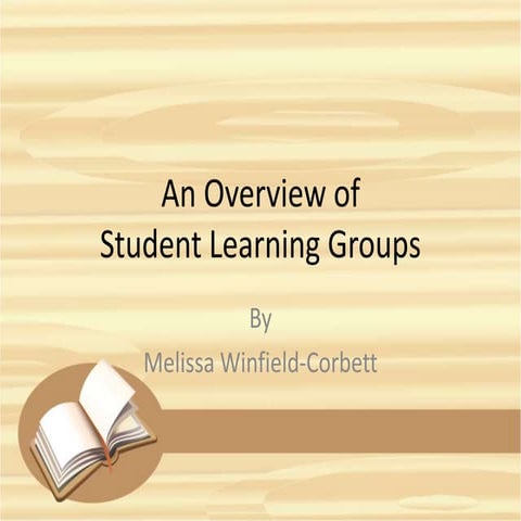 An overview of student learning groups
