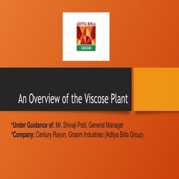 An Overview of the Viscose Plant.pptxNext-Generation Renewable and Sustainabl...