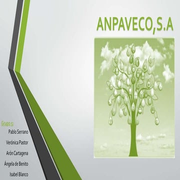 Anpaveco,S.A.
